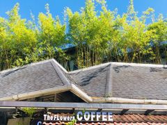 -The Flowers Coffee(南山店)