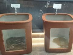-丁哥·庐味鲜 土菜·20年老字号(世纪阳光花园店)