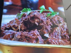 -芦月轩羊蝎子(北蜂窝店)