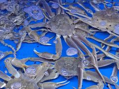 -徐记海鲜(大雁塔|金都店)