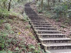 -广州市帽峰山景区