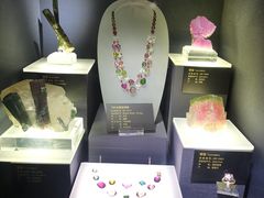 -湖南省地质博物馆