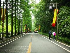 -青城山