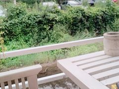 -Local泰莲庭(虹鳟鱼店)