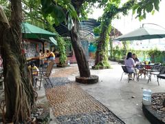 园子-柴犬高等学院·狗咖·柴犬售卖·宠物训练