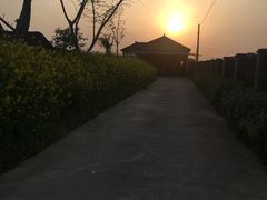 -小六农家乐(崇明西沙湿地店)