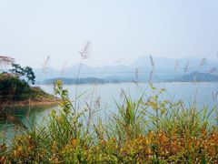 -千岛湖龙川湾