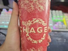 -天河体育中心游泳馆