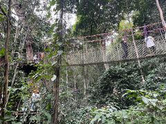 -西双版纳原始森林公园