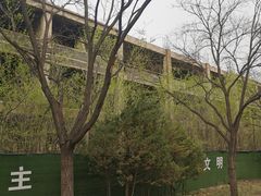 景点-森林公园(尖草坪区)