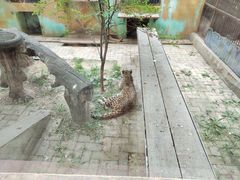 -青藏高原野生动物园