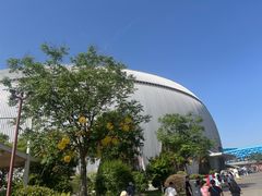-华夏文旅海洋公园
