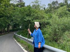 -青龙山国家森林公园
