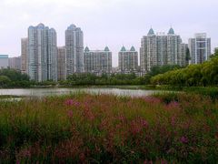 android_upload_pic-西北湖绿化广场