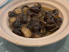 -九华山聚龙大酒店