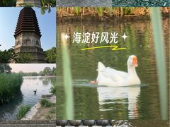 -玲珑塔公园