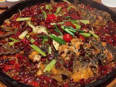 -老板恋上鱼(恒隆广场店)