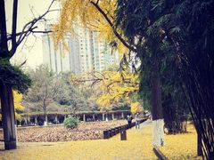 -四川大学(华西校区)