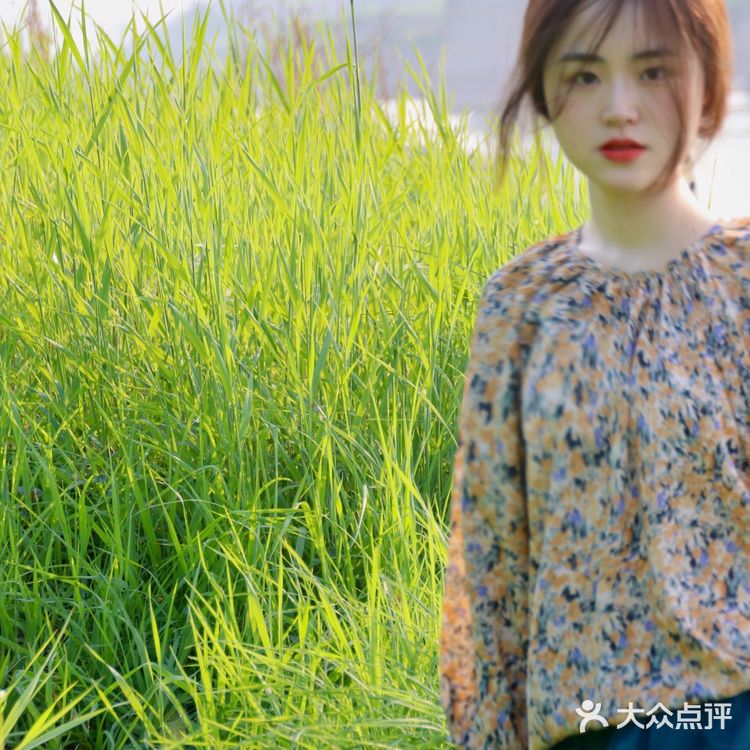 重庆踏青|小众打卡地-九曲河湿地公园