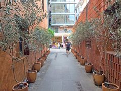 -DECAMERON十日谈(南头古城有熊店)