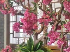 -徽珍源(龙茗路店)