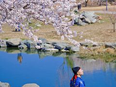 -圆明园遗址公园-藻园门售票处