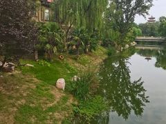 -思念果岭悦温泉