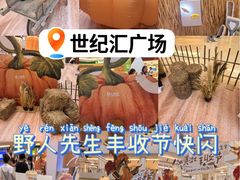 -上海世纪汇广场