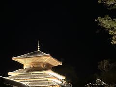 -广悦华阳朔河畔度假酒店(十里画廊遇龙河店)
