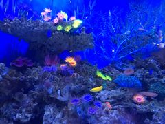 -成都浩海立方海洋公园