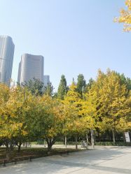 -大望京儿童游乐场