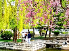 -中日友好医院(本部)