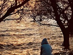 -宝安西湾红树林湿地公园