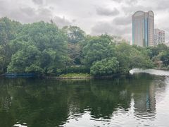 -鲁迅公园-垂钓中心