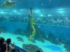 -苏州海洋馆