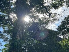 -七仙岭温泉国家森林公园