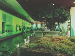 -中国湿地博物馆