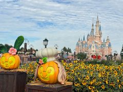 -上海迪士尼度假区