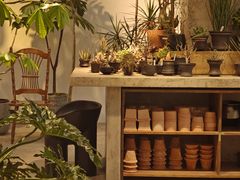 -自由生长植物工作室(深港花卉中心店)