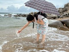 -广东惠东海龟国家级自然保护区