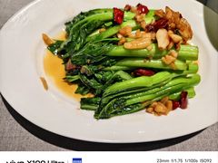 -南堂馆·新川菜(春熙路店)