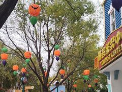 -沈阳方特欢乐世界