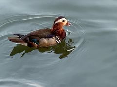 -浙江西湖美术馆