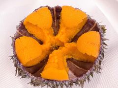 加拿大活体海胆-HIHE Bistro·Oyster Bar(华熙live店)