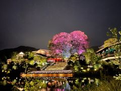 -雅达·阳羡溪山小镇中心