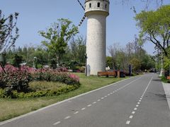 -东平国家森林公园