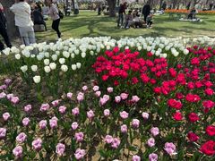 -苏州上方山国家森林公园