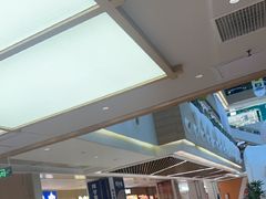 -阳阳中国饭(龙湖大兴天街)