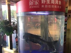 -解家河南菜(商鼎路店)