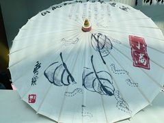 -虹桥机场国航贵宾室v8